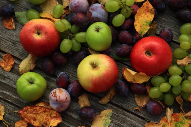 karışık sebze yakın çekim