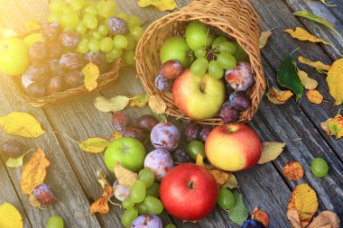 karışık sebze yakın çekim