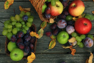 karışık sebze yakın çekim