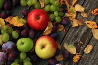 karışık sebze yakın çekim