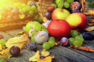 karışık sebze yakın çekim