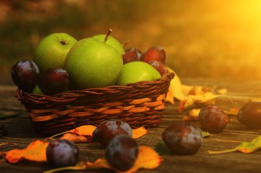 karışık sebze yakın çekim