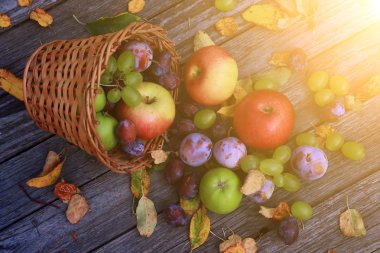 karışık sebze yakın çekim