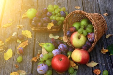 karışık sebze yakın çekim