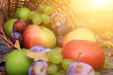 karışık sebze yakın çekim