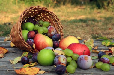 karışık sebze yakın çekim