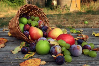 karışık sebze yakın çekim
