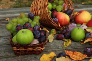 karışık sebze yakın çekim