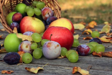 karışık sebze yakın çekim