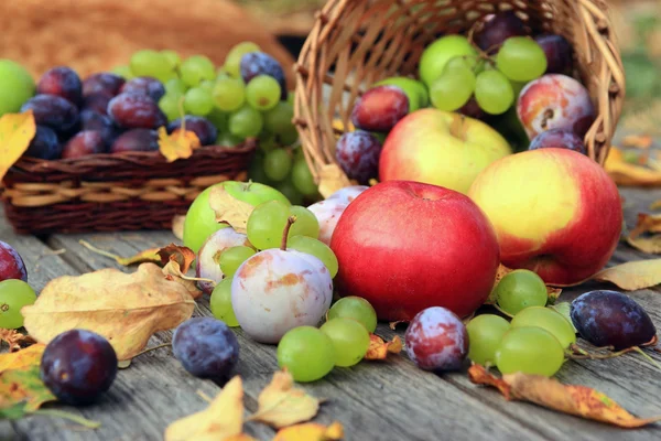 Nahaufnahme von gemischtem Gemüse — Stockfoto