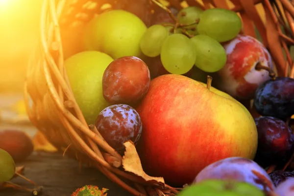 Close up of mixed vegetables — Stock Photo, Image