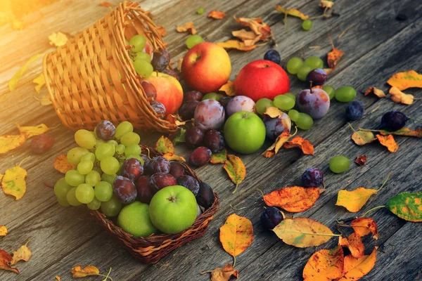 Nahaufnahme von gemischtem Gemüse — Stockfoto