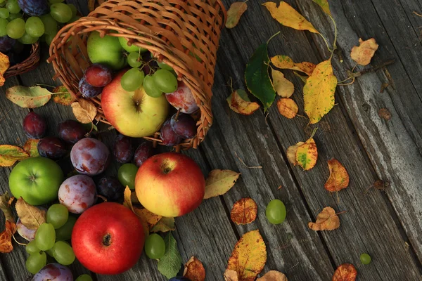 karışık sebze yakın çekim