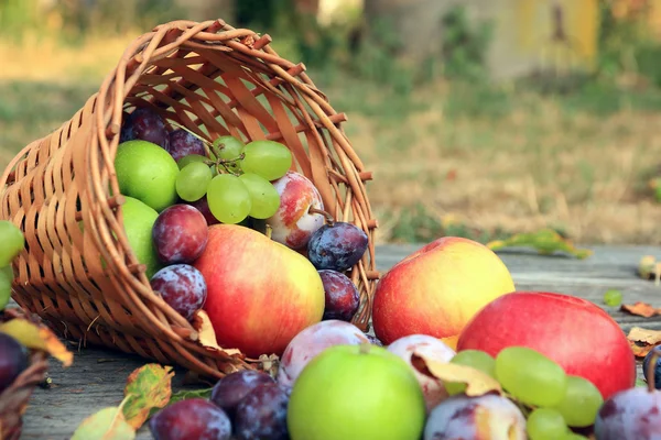 karışık sebze yakın çekim