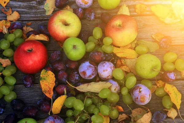 Primer plano de verduras mixtas — Foto de Stock