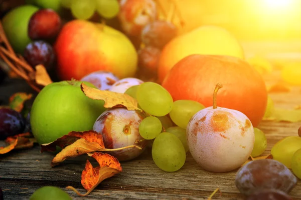 karışık sebze yakın çekim