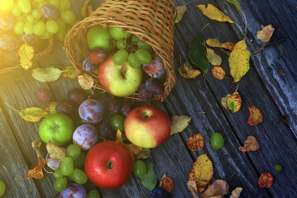 Primer plano de verduras mixtas —  Fotos de Stock