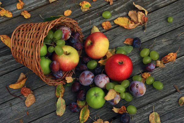 Primo piano di verdure miste — Foto Stock