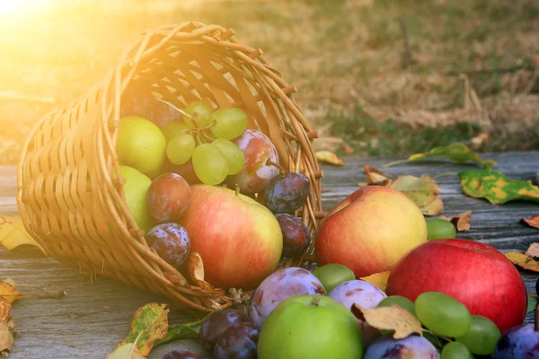 karışık sebze yakın çekim