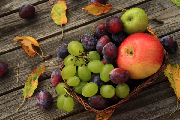 Nahaufnahme von gemischtem Gemüse — Stockfoto