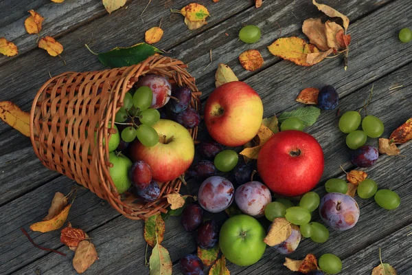 karışık sebze yakın çekim