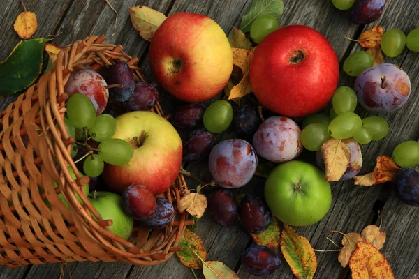 karışık sebze yakın çekim