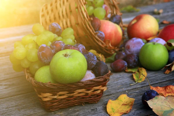 Close up of mixed vegetables — Stock Photo, Image