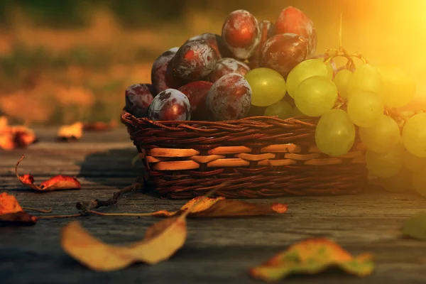 Primo piano di verdure miste — Foto Stock