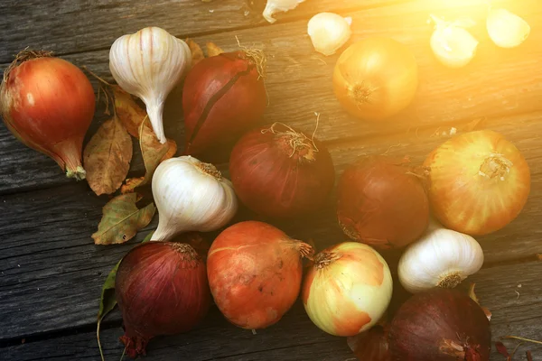 Mixed onion still life — Stock Photo, Image