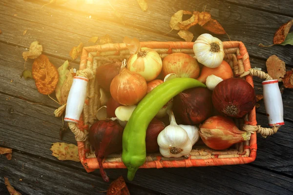 Mixed onion still life — Zdjęcie stockowe