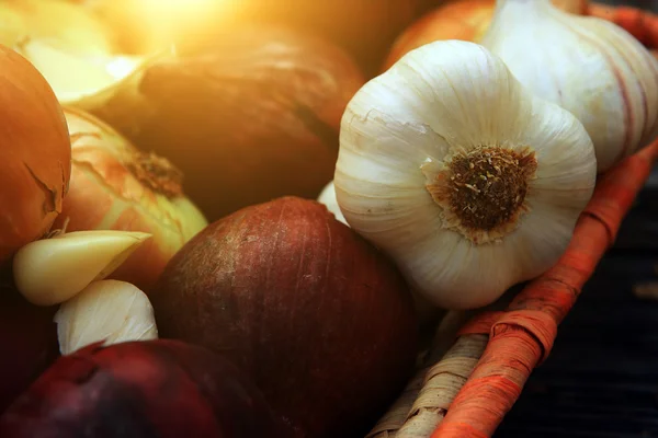 Mixed onion still life — Stock Photo, Image