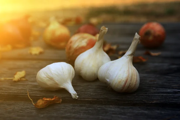 Garlic still life — Stock Photo, Image