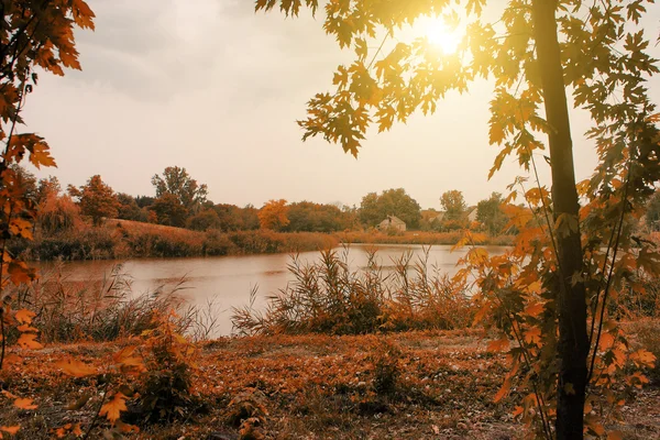 Idylické podzimní krajina s jezerem — Stock fotografie