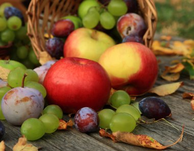 sağlıklı meyve yakın çekim