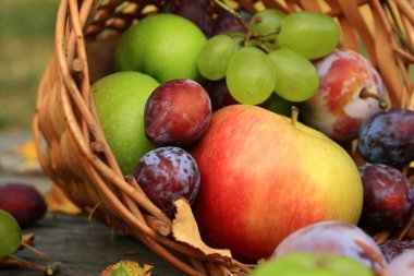 sağlıklı meyve yakın çekim