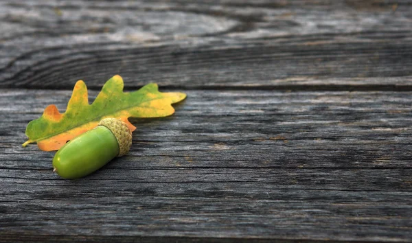 Acorn sobre fondo de madera —  Fotos de Stock