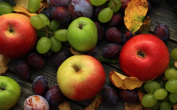 Close up van gezond fruit — Stockfoto