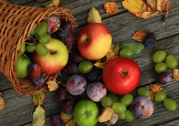 Nahaufnahme von gesundem Obst — Stockfoto