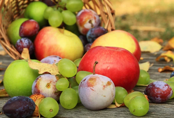 Nahaufnahme von gesundem Obst — Stockfoto