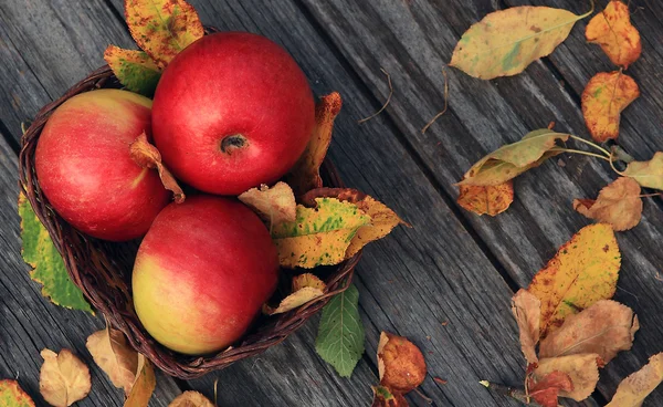 Здоровые красные яблоки — стоковое фото