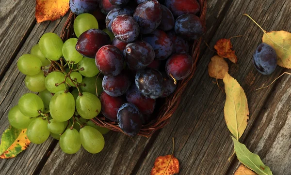 Uvas y ciruelas — Foto de Stock