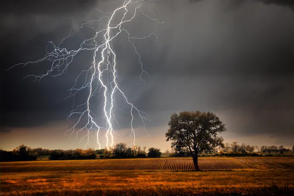 Relâmpago sobre o campo — Fotografia de Stock