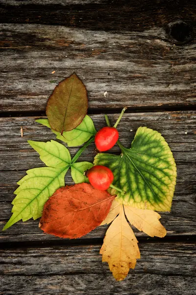 Herbst Hintergrund mit Früchten — Stockfoto