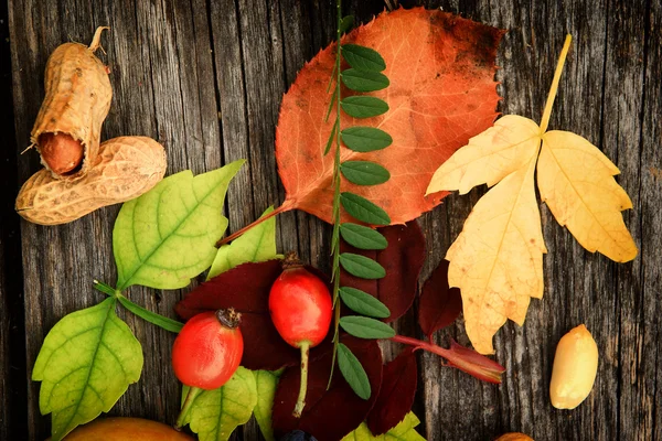 Fundo de outono com frutas — Fotografia de Stock