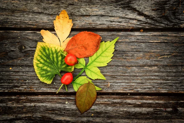 Höstens bakgrund med frukter — Stockfoto