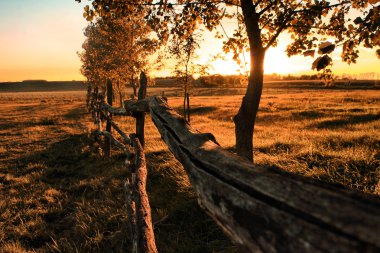 günbatımı tarım arazisi