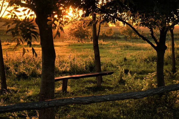 Banco na floresta de outono — Fotografia de Stock