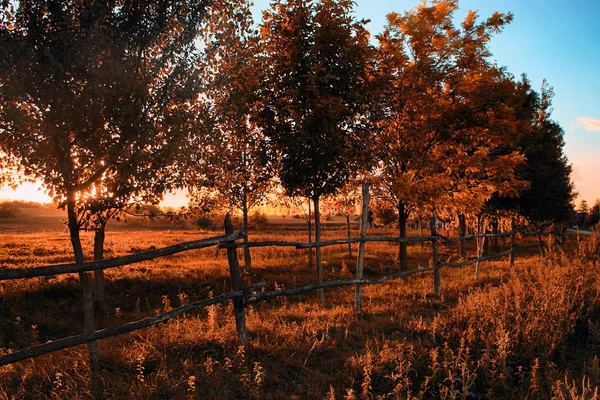 Terreni agricoli al tramonto — Foto Stock