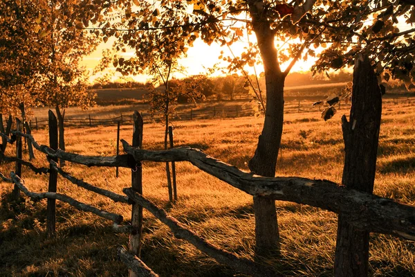 Campos agrícolas en la puesta del sol — Foto de Stock