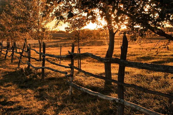 Ackerland im Sonnenuntergang — Stockfoto